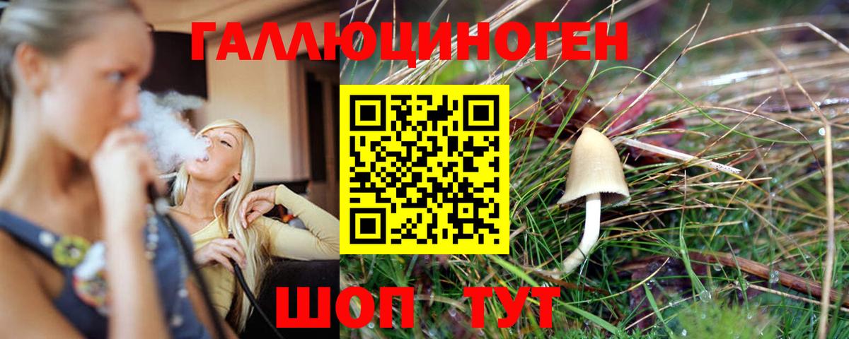 Галлюциногенные грибы GOLDEN TEACHER Зеленогорск
