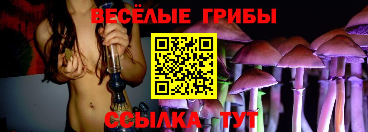 Псилоцибиновые грибы Cubensis  Галлюциногенные грибы MAGIC MUSHROOMS  Зеленогорск  Вход с VPN 